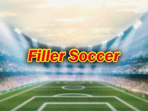 Filler Soccer Poster