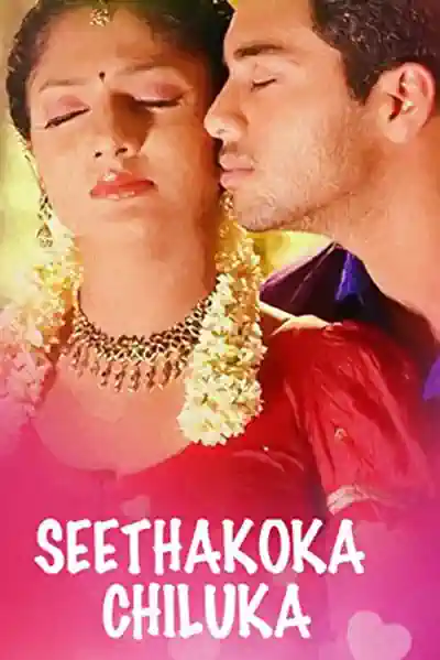 Seethakoka Chiluka Poster