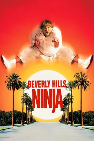 Beverly Hills Ninja Poster