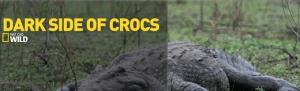Dark Side Of Crocs Poster