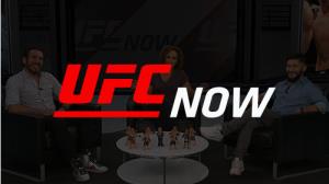 UFC Now Poster