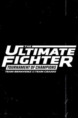 The Ultimate Fighter Poster