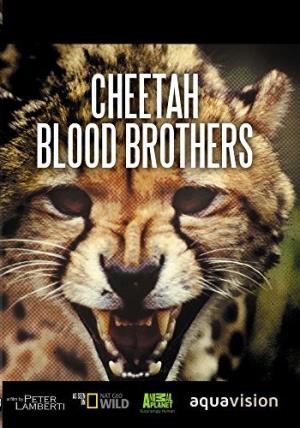 Cheetah Blood Brothers Poster