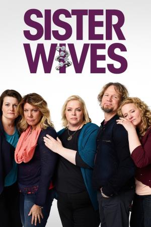 Sister Wives Poster