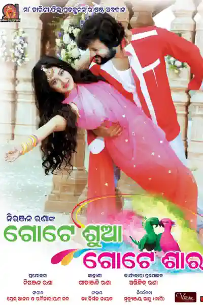 Gote Sua Gote Sari Poster