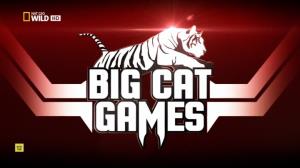 Big Cat Games Poster