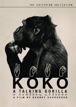 Koko Poster