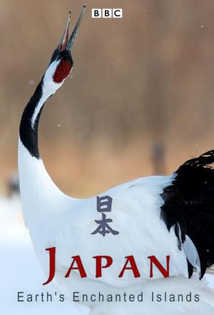Japan's Wild Year Poster