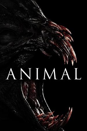 Animal Poster