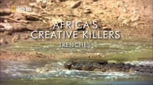 Africa's Creative Killers Poster