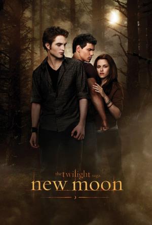 The Twilight Saga: Breaking Dawn – Part 1 Poster
