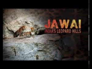 Jawai: India's Leopard Hills Poster