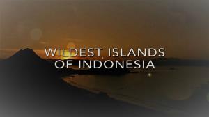 Wildest Islands Of Indonesia Poster
