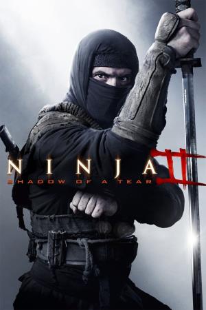 Ninja Shadow Of A Tear Poster