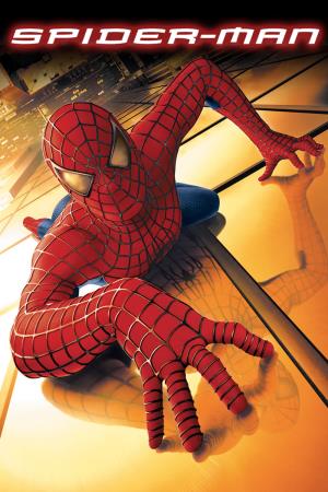 Spider  Man Poster