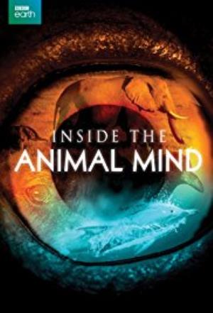 Inside The Animal Mind Poster