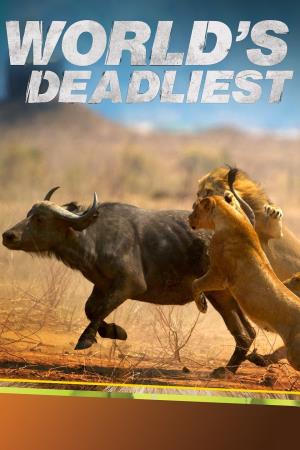 World's Deadliest Poster