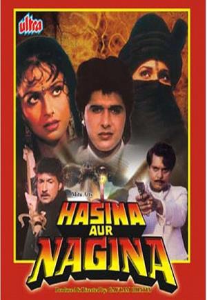 Hasina Aur Nagina Poster