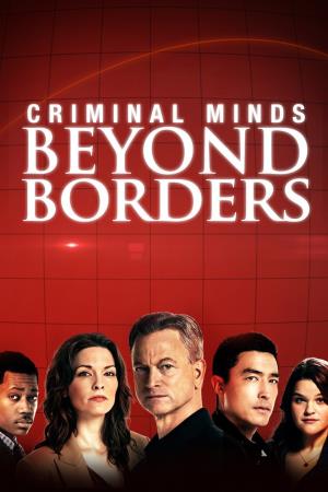 Criminal Minds: Beyond Borders Poster