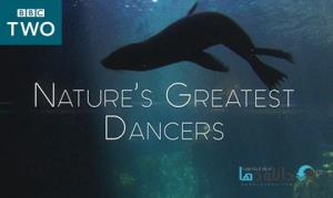 Nature's Greatest Dancers Poster