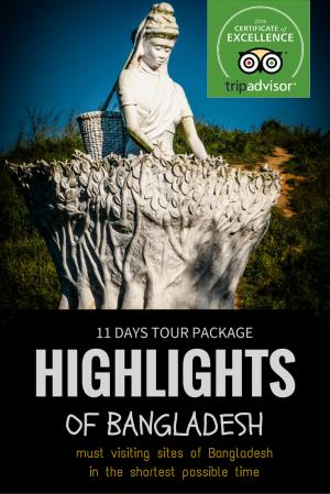 Day's Highlights Poster