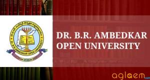 Dr. B. R. Ambedkar Open University Program Poster