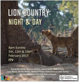 Lion Country: Night & Day Poster