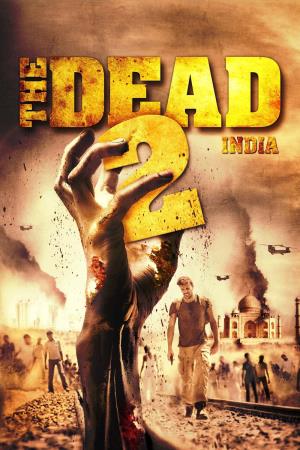India @ 2 Poster