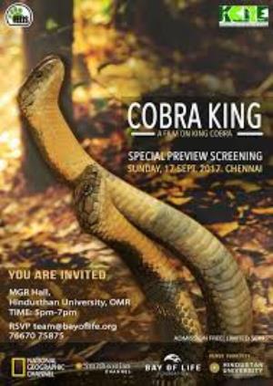 Search For King Cobra Poster