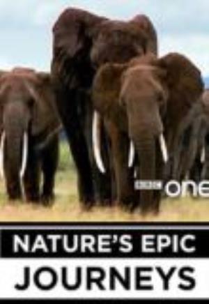Nature's Epic Journeys Poster