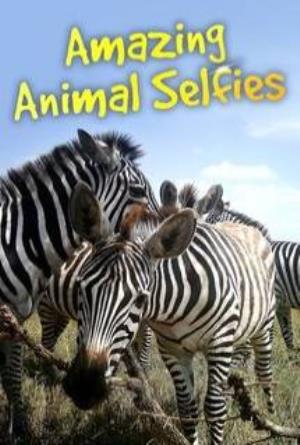 Amazing Animal Selfies | Infotainment on tv - Tvwish
