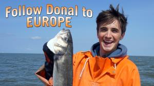 Follow Donal To Europe Poster