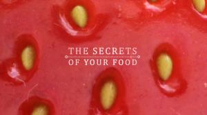 The Secrets Of Your Food Poster