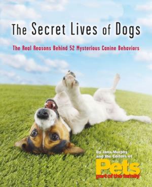 The Secret Life Of Dogs Poster
