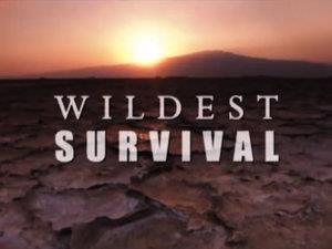 Wildest Survival Poster