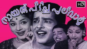 Nayaru Pidicha Pulival Poster