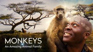 Monkeys: An Amazing Animal Family Poster