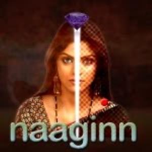 Naaginn Vaadon Ki Agnipariksha Poster