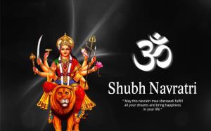 Navratri Celebrations Poster