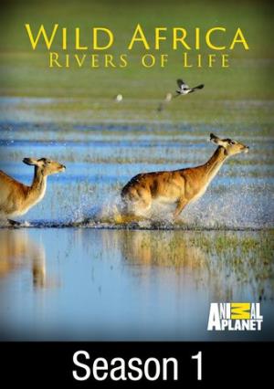 Wild Africa: Rivers Of Life Poster
