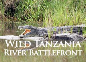 Wild Tanzania: River Battlefront Poster