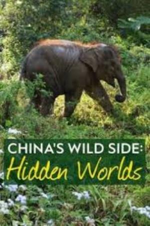 China's Wild Side Poster