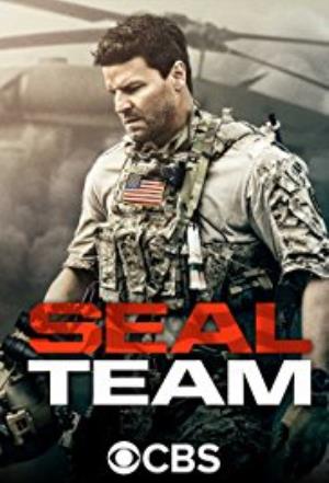 SEAL Team Poster