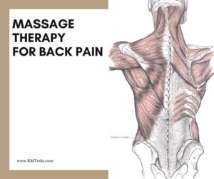 HC- Neck & Back Pain Poster