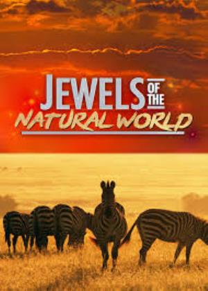 Jewels Of The Natural World Poster