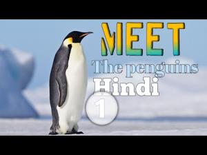 Meet The Penguins Poster