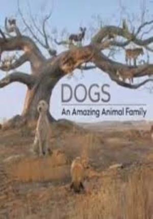 Dogs: An Amazing Animal Family Poster