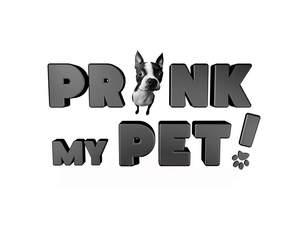 Prank My Pets Poster