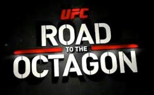 Road To The Octagon Poster