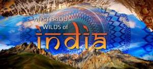 Mysterious Wilds Of India Poster